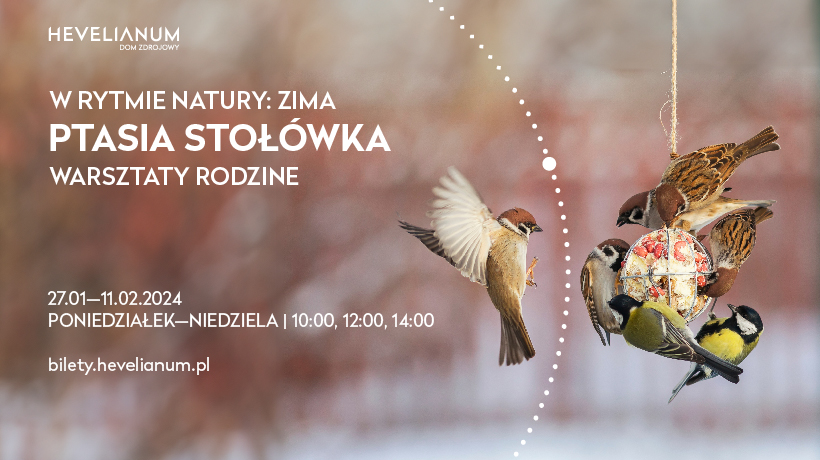 Wydarzenie: W rytmie natury: Zima - Ptasia stołówka Ferie w Domu Zdrojowym, Kiedy? 2024-02-11 10:00, Gdzie? Zdrojowa 2